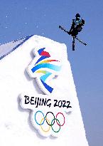 (XHTP)(BEIJING2022)CHINA-BEIJING-OLYMPIC WINTER GAMES-FREESTYLE SKIING-MEN'S FREESKI BIG AIR-FINAL (CN)
