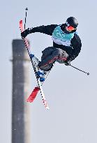 (XHTP)(BEIJING2022)CHINA-BEIJING-OLYMPIC WINTER GAMES-FREESTYLE SKIING-MEN'S FREESKI BIG AIR-FINAL (CN)