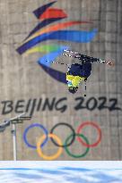 (BEIJING2022)CHINA-BEIJING-OLYMPIC WINTER GAMES-FREESTYLE SKIING-MEN'S FREESKI BIG AIR-FINAL (CN)