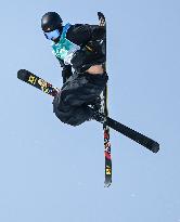 (BEIJING2022)CHINA-BEIJING-OLYMPIC WINTER GAMES-FREESTYLE SKIING-MEN'S FREESKI BIG AIR-FINAL (CN)