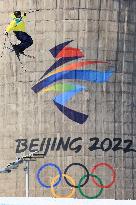 (BEIJING2022)CHINA-BEIJING-OLYMPIC WINTER GAMES-FREESTYLE SKIING-MEN'S FREESKI BIG AIR-FINAL (CN)