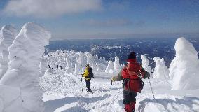 Frost-covered trees at ski resort in Japan