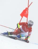 Beijing Olympics: Alpine Skiing