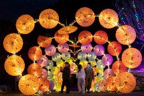 #CHINA-LANTERN FESTIVAL-CELEBRATION (CN)