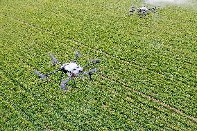 #CHINA-ANHUI-UNMANNED FARMING (CN)