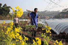 #CHINA-SPRING-FARMING (CN)