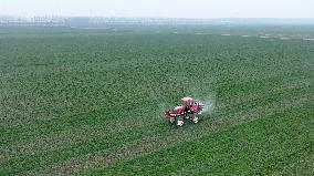 #CHINA-SPRING-FARMING (CN)