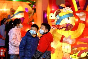 #CHINA-HEBEI-SHIJIAZHUANG-LANTERNS (CN)