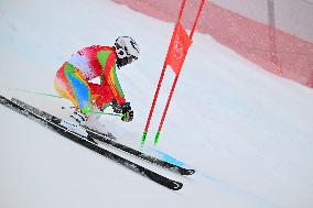 (BEIJING2022) CHINA-BEIJING-OLYMPIC WINTER GAMES-ALPINE SKIING-MEN'S GIANT SLALOM (CN)