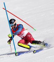 (BEIJING2022) CHINA-BEIJING-OLYMPIC WINTER GAMES-MEN'S ALPINE COMBINED (CN)