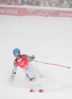 (BEIJING2022)CHINA-BEIJING-OLYMPIC WINTER GAMES-ALPINE SKIING-MEN'S GIANT SLALOM (CN)