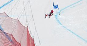 (BEIJING2022)CHINA-BEIJING-OLYMPIC WINTER GAMES-ALPINE SKIING-WOMEN'S SUPER-G (CN)