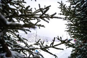 (BEIJING2022)CHINA-ZHANGJIAKOU-OLYMPIC WINTER GAMES-CROSS-COUNTRY SKIING-MEN'S 4X10KM RELAY (CN)