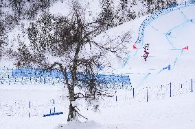 (BEIJING2022)CHINA-ZHANGJIAKOU-OLYMPIC WINTER GAMES-MEN'S SNOWBOARD CROSS-FINAL (CN)