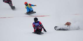 (BEIJING2022)CHINA-ZHANGJIAKOU-OLYMPIC WINTER GAMES-MEN'S SNOWBOARD CROSS-FINAL (CN)