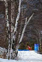 (BEIJING2022)CHINA-ZHANGJIAKOU-OLYMPIC WINTER GAMES-CROSS-COUNTRY SKIING-WOMEN'S 4X5KM RELAY (CN)