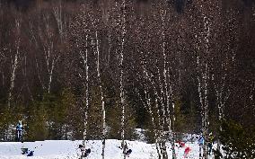 (BEIJING2022)CHINA-ZHANGJIAKOU-OLYMPIC WINTER GAMES-CROSS-COUNTRY SKIING-WOMEN'S 4X5KM RELAY (CN)