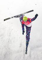 (BEIJING2022)CHINA-ZHANGJIAKOU-OLYMPIC WINTER GAMES-FREESTYLE SKIING-MIXED TEAM AERIALS-FINAL (CN)