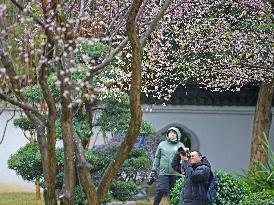 CHINA-GUANGXI-NANNING-PLUM BLOSSOM (CN)