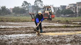 CHINA-GUANGXI-QINZHOU-SPRING FARMING (CN)