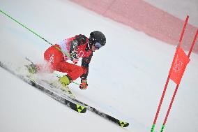 (XHTP)(BEIJING2022)CHINA-BEIJING-OLYMPIC WINTER GAMES-ALPINE SKIING-MEN'S GIANT SLALOM(CN)