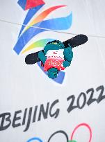 (XHTP)(BEIJING2022)CHINA-ZHANGJIAKOU-OLYMPIC WINTER GAMES-MEN'S SNOWBOARD HALFPIPE-FINAL (CN)
