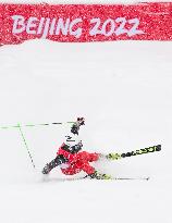 (XHTP)(BEIJING2022)CHINA-BEIJING-OLYMPIC WINTER GAMES-ALPINE SKIING-MEN'S GIANT SLALOM (CN)