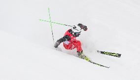 (XHTP)(BEIJING2022)CHINA-BEIJING-OLYMPIC WINTER GAMES-ALPINE SKIING-MEN'S GIANT SLALOM (CN)