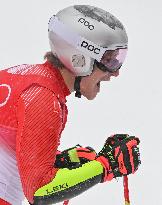 (XHTP)(BEIJING2022)CHINA-BEIJING-OLYMPIC WINTER GAMES-ALPINE SKIING-MEN'S GIANT SLALOM (CN)