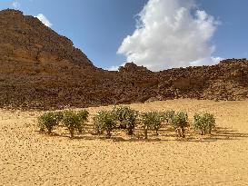 SAUDI ARABIA-ALULA-OPEN AIR ART EXHIBITION-DESERT X ALULA 2022