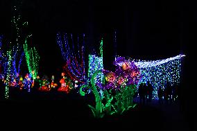 FRANCE-THOIRY ZOO-LIGHT FESTIVAL