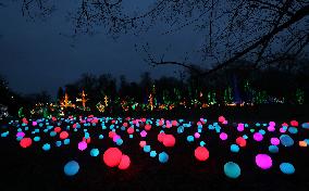 FRANCE-THOIRY ZOO-LIGHT FESTIVAL