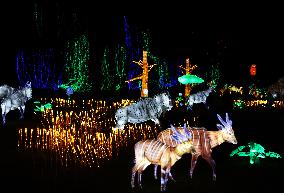 FRANCE-THOIRY ZOO-LIGHT FESTIVAL