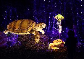 FRANCE-THOIRY ZOO-LIGHT FESTIVAL