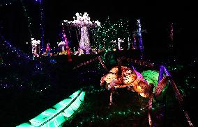 FRANCE-THOIRY ZOO-LIGHT FESTIVAL