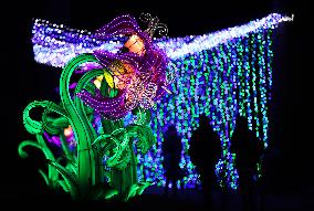 FRANCE-THOIRY ZOO-LIGHT FESTIVAL