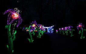 FRANCE-THOIRY ZOO-LIGHT FESTIVAL