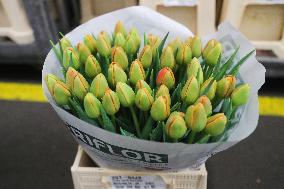 NETHERLANDS-UITHOORN-FLOWERS-VALENTINE'S DAY