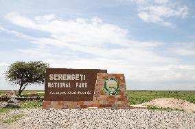 TANZANIA-SERENGETI NATIONAL PARK