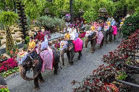 THAILAND-PATTAYA-ELEPHANTS-WEDDING-VALENTINE'S DAY