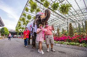 THAILAND-PATTAYA-ELEPHANTS-WEDDING-VALENTINE'S DAY