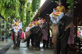 THAILAND-PATTAYA-ELEPHANTS-WEDDING-VALENTINE'S DAY