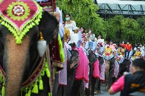 THAILAND-PATTAYA-ELEPHANTS-WEDDING-VALENTINE'S DAY