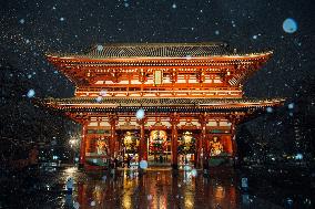 JAPAN-TOKYO-SNOW