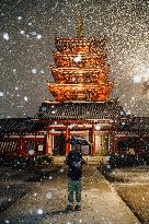 JAPAN-TOKYO-SNOW