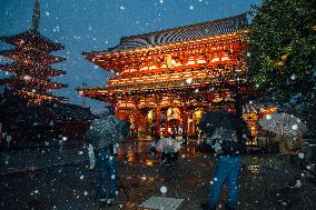 JAPAN-TOKYO-SNOW