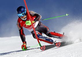 Beijing Olympics: Alpine Skiing