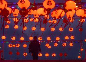 #CHINA-LANTERN FESTIVAL-CELEBRATION (CN)