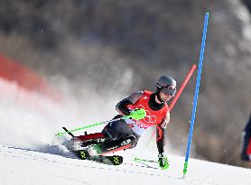 (BEIJING2022)CHINA-BEIJING-OLYMPIC WINTER GAMES-ALPINE SKIING-MEN'S SLALOM (CN)