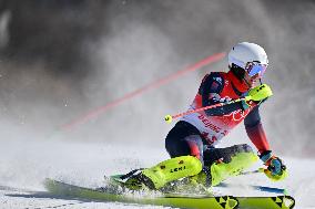 (BEIJING2022)CHINA-BEIJING-OLYMPIC WINTER GAMES-ALPINE SKIING-MEN'S SLALOM (CN)